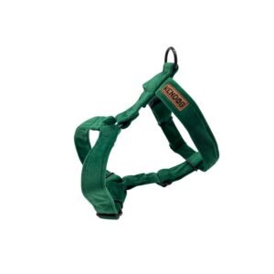 a032eeb6ed643a8836cccbae21e744d7