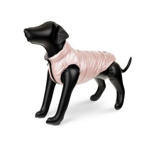 2815af16afa32236e90278069d3e2bd8