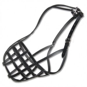 52be319f029f8be035fa106a1785b7cc