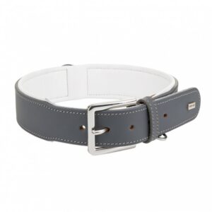 6966ce5098437d41e741675d566a9897