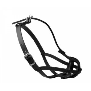 88b49211149908c71c21d04c124a866b