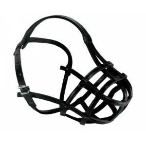 c776cb449cf6f2bd1a8619db09d17156