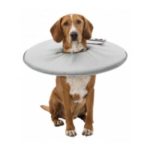 b96adc7ec84daac79a6d299ec8fdddaa