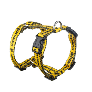 2a2831ad5fa39a294c94571c4c5f71f3