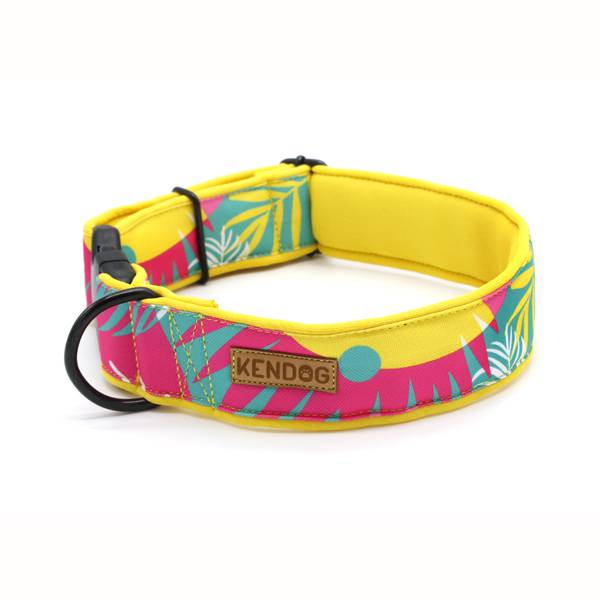 1be5f57d7a3260b51b9571a9cf1403fb.jpg 81742b2ecdb47d654e943e5a76f43e7e