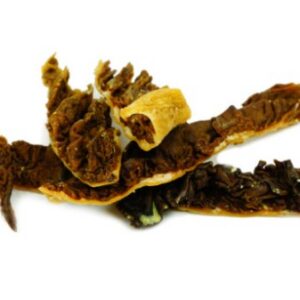 b1e2b2257d5eebdada44b06571e4db02