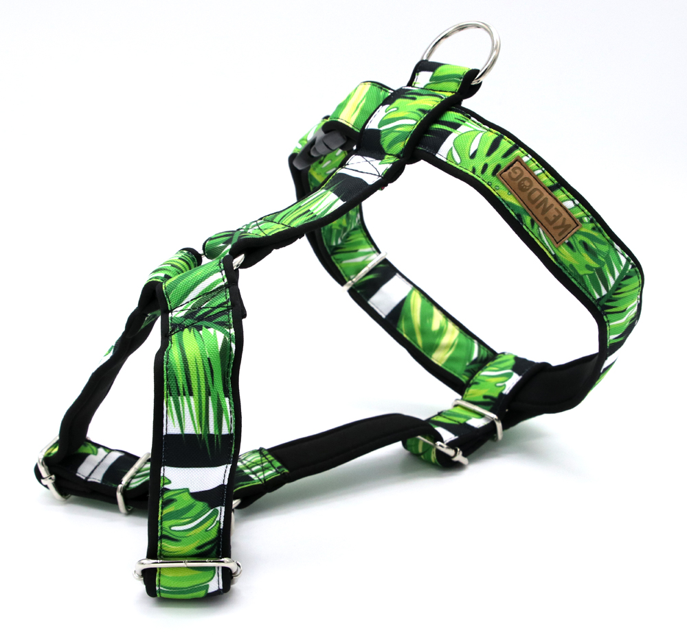 28e56bf61285c1dbe0e9b3a641fe21b4.jpg 8eb9e541c2ea991efa4fdea6f4976b01