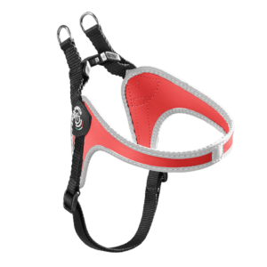 593193a0c8114aeb8d7c120004fd97c4