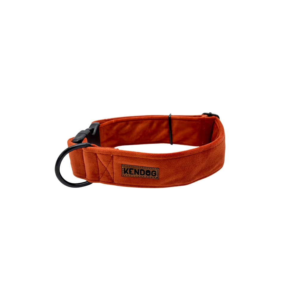 2f8f41b0d2aea53e9fc8ed8088b3f59d.jpg decb7496a82c141cd64b910366aaa60d