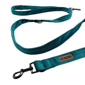 460c8c901fa0405b2a5cecbb9ea9ddc9