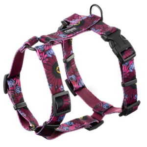 6ed5a152d7983ea8ec0cfc1120a6b4ed