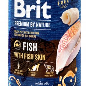 0b70ba990a172cdd545bd85738e76bb4