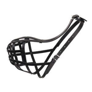 05e0743adfb87c4242392d1a99dfbcb9