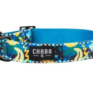 a09e49cf30b8ce9e83d2cf89b6a72f12