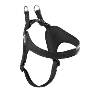 1b1207902dae3246ede0433574245f7c