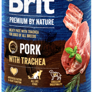 e564126a77080a1c9cbc866e7b332467