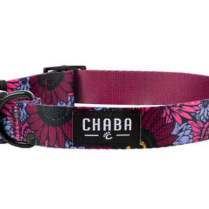 449687d2e5701683b3a45f055144eeae