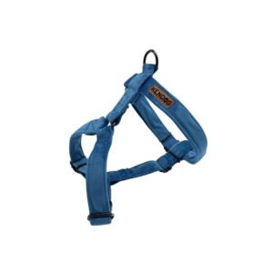 e31905fbc5ee10d3901c01e29cf7fa65