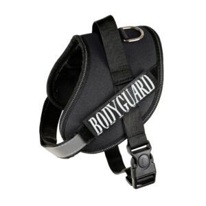 35847c7740fe1bc531cfd57535d94f55