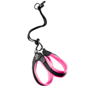 65d63706ae7c43944bc030434ed1cbd9