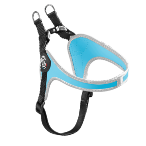 43184fbbab3c493026f7bed464b7ce86