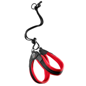 f63679b96f83f41add0c260c294b063d