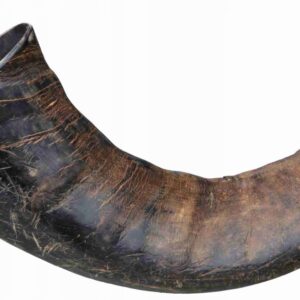 b1b3183574f78b094ae08115a6cda7a0