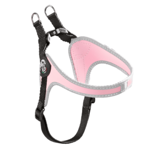 90d81d53a6e6f12636feec9cdb6d6098