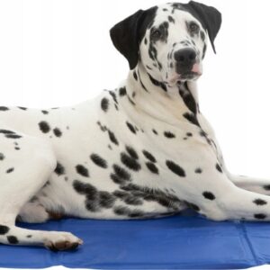 a58fd5d6448cf35d61068ed15d4eb5e2