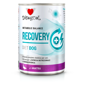 82fd2a0fe619ed4d20419d67585ca226