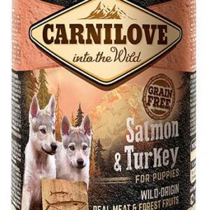 307468210d717604619a17b47951fafe