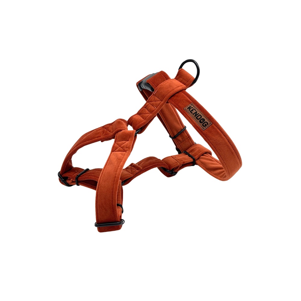 84f48a11ff7f1b10a9be0bc162478487.jpg c71f9179bae949fb36e86f1106424f7e