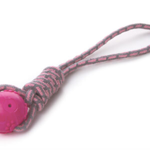 c426379333d519b8a9623040980c92fc