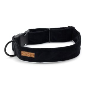 20b99c9d2f430da444babbd150134ec8