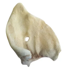 f94001f375215d4848a63649f1dfbe23