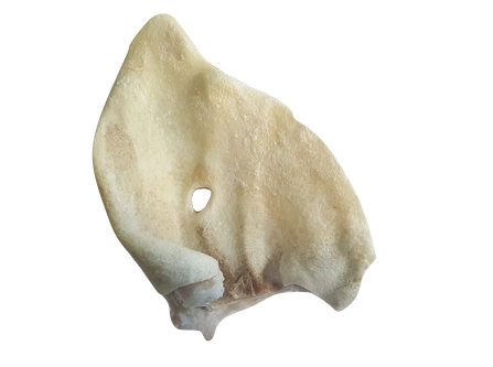 8ee7a2f153ac95949cbdf704a3f143c9.webp f94001f375215d4848a63649f1dfbe23