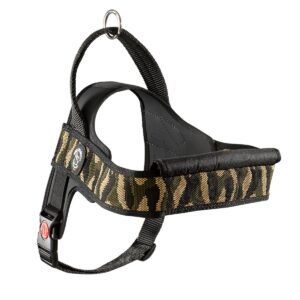 41a8bf6b8365d6ae7303a7571d423718