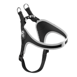 2f81a1b6f7d2c4f64ae4e8bc41299355