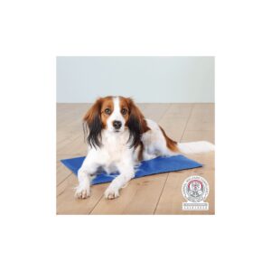 12cba241e2226fc7c71b403f462c995e