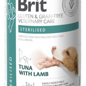 406eff23c3e66ff729e066d4f9f88b64