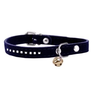 1697e25829870a91fae42fdef632cfc4