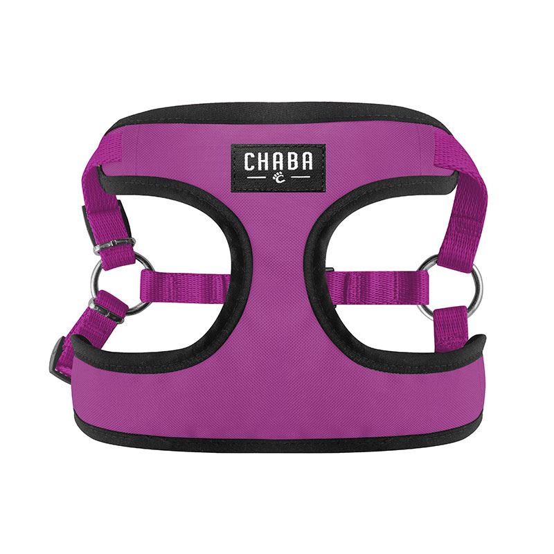 aa4a5cc280845182cfd5ec41b92fad6c.jpg 469fe2a57780d402167b60bc8e50f69e