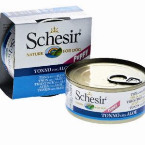 4c42e144663ca0feefbcda97d1ee54c2