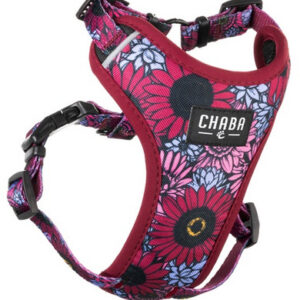 4f09d2d6199638ef7e0a936c4c4f6b56