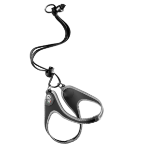 6ce6245f71648969939bfc1b56e2650c