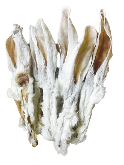 c3e4f99452a698228352df53a4c7357c.png facd5e9ad46f5e2886d30bc023e6675d