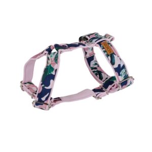 3935124ce8082bbf2a0ec2dafea4dc91