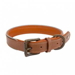 b1e4576a06afe570ba1bf4b0f633e0d8