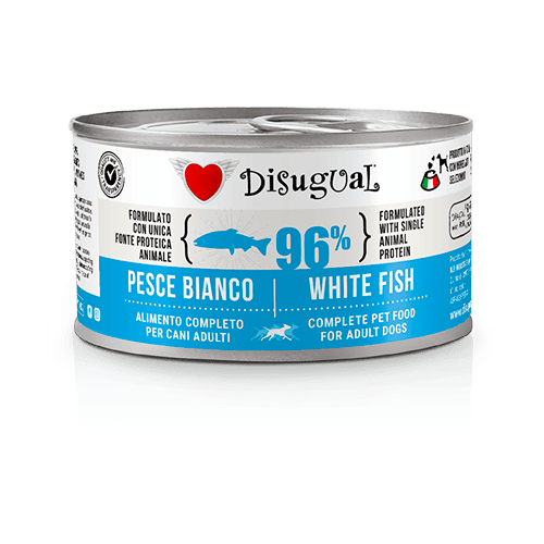 d2d58e82529127f58439ffdfabacea05.png d91e166cc08fd9f53c5f107ab443dab5