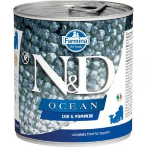 a85cf43b7c44643eecf8569d8da1d7ae